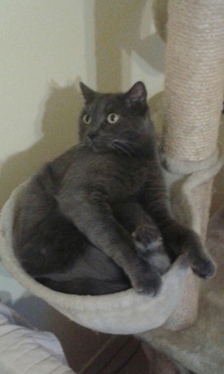 Just hanging