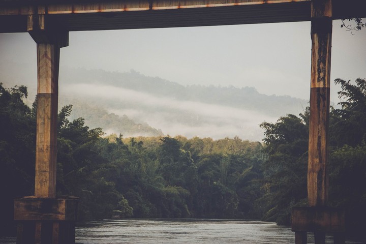 the bridge