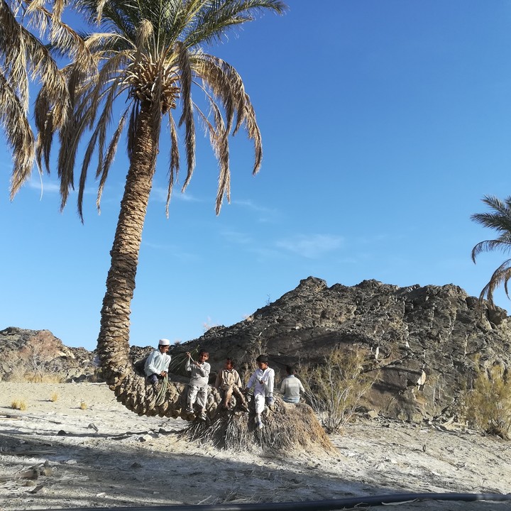 iran balochistan