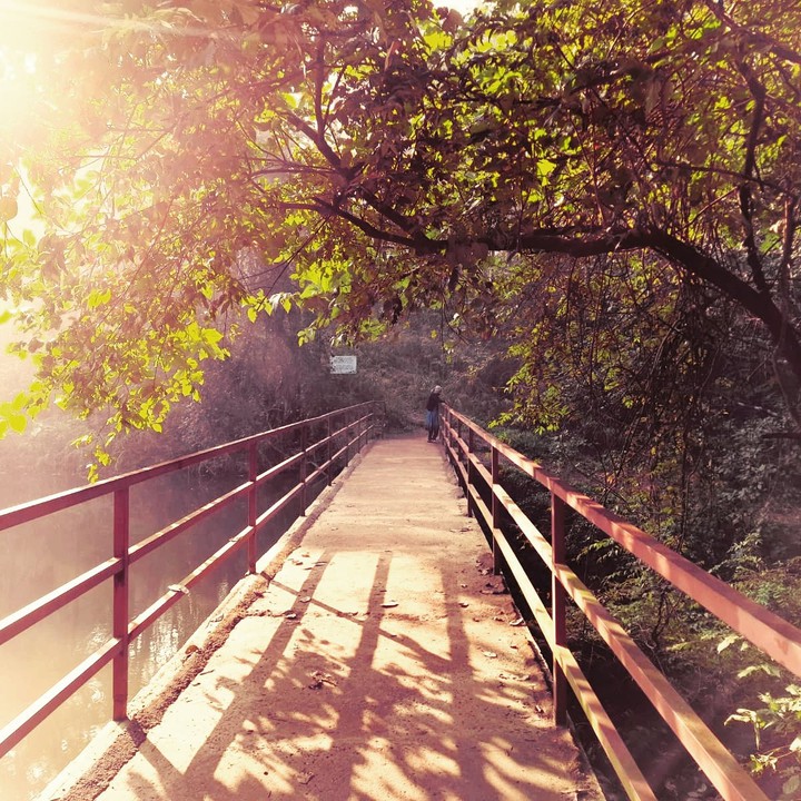 Bridge