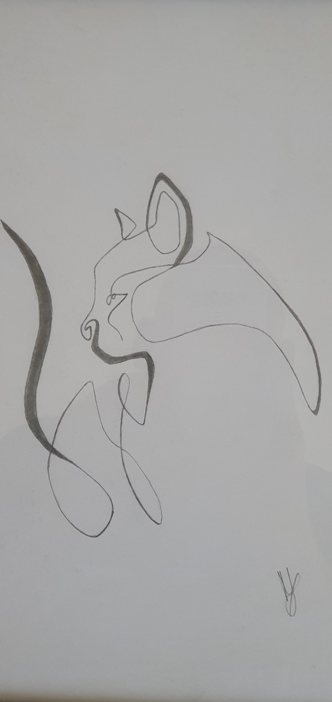 drawing