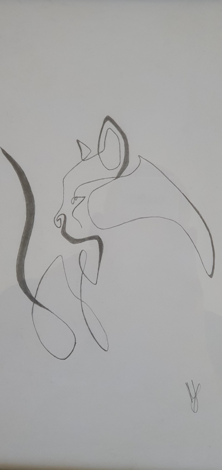 drawing