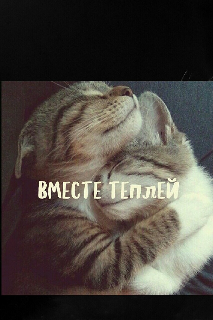 обнимашки