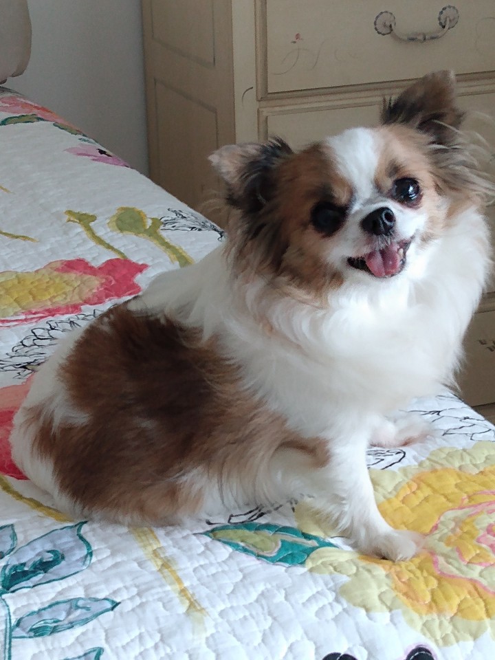 My little Princess