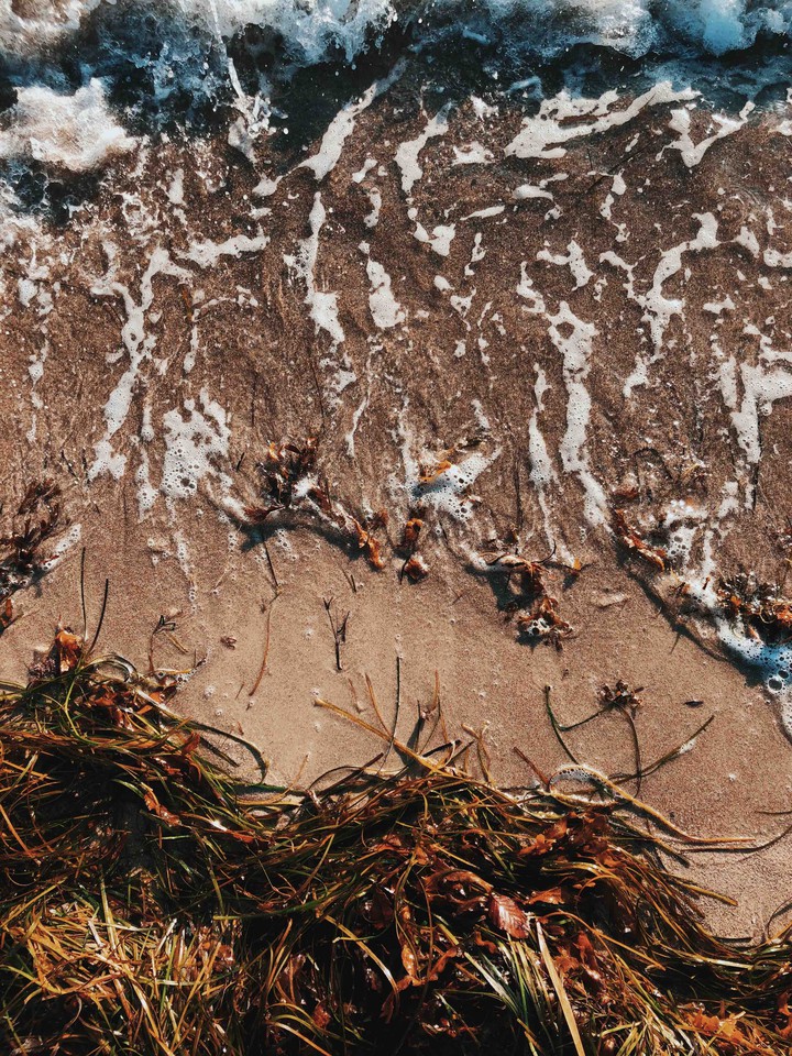 Waves