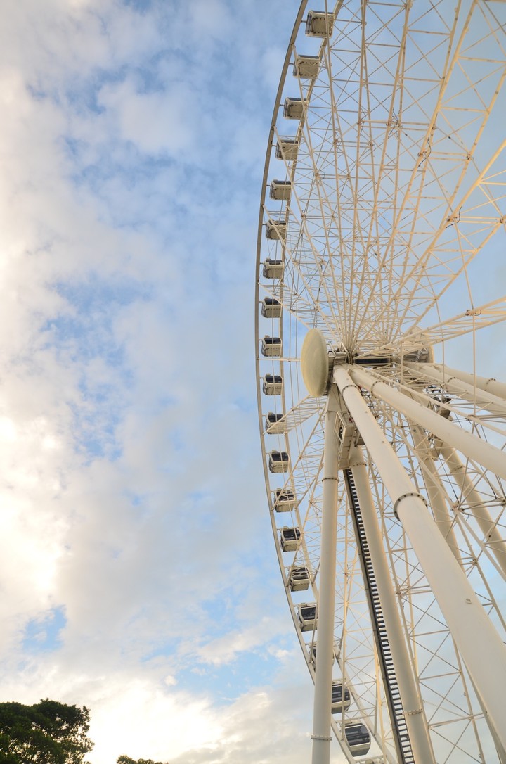 Wheel of Brisbane