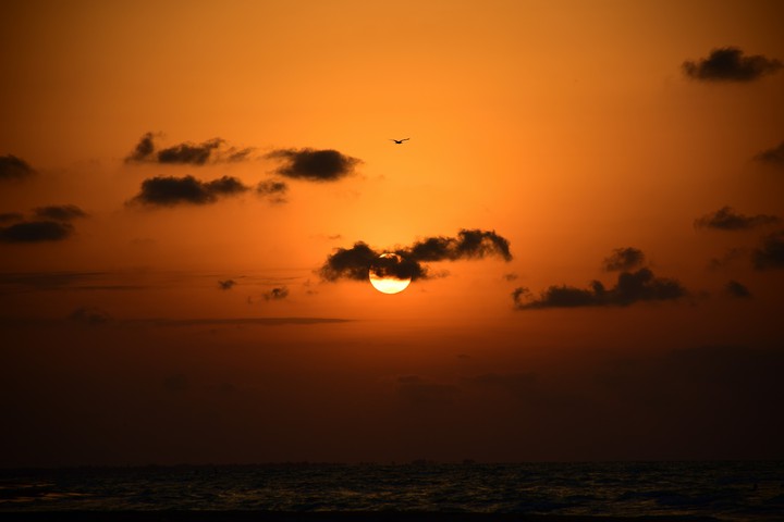 sunset lover
