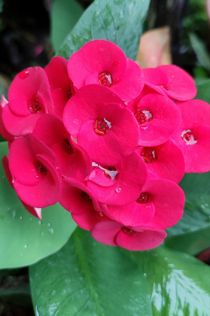 after rain