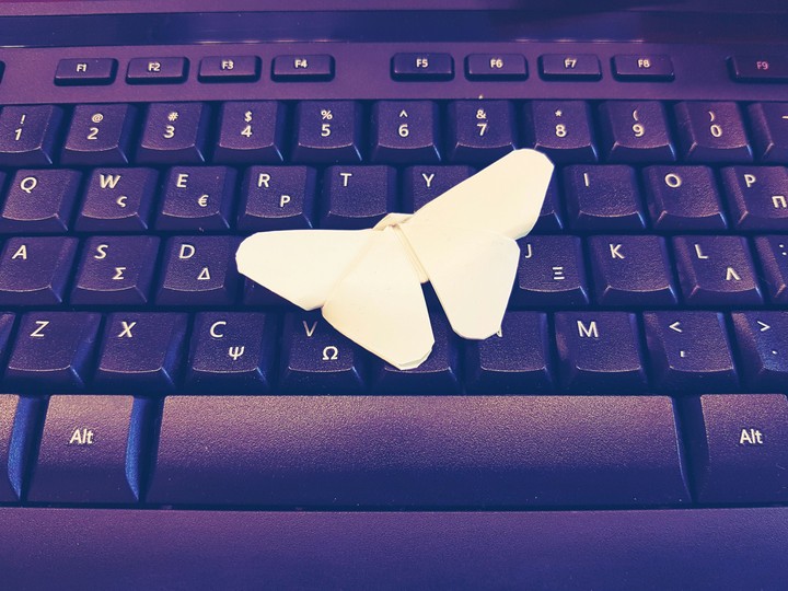 butterfly