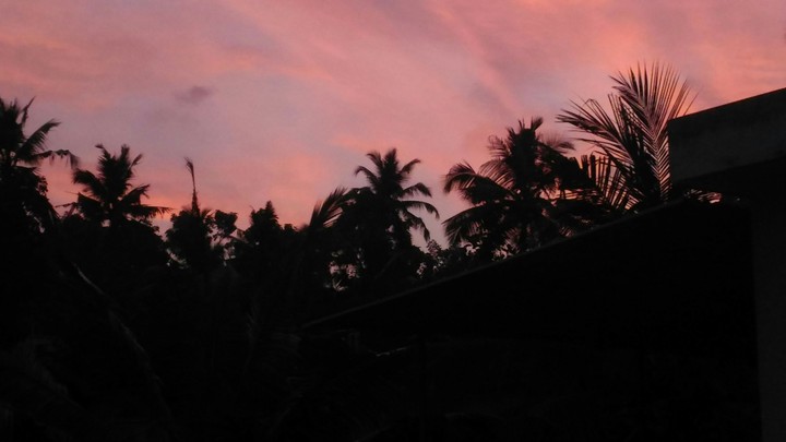 nature :calming our minds