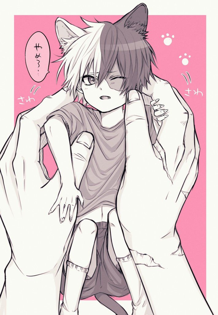 T. Shoto