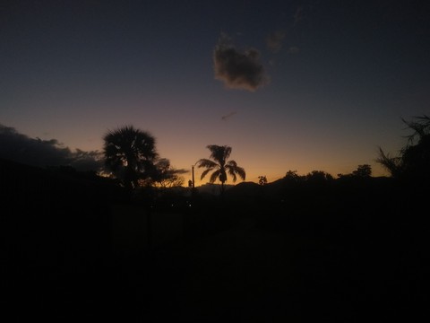 nature