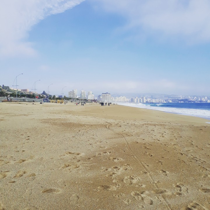 viña del mar