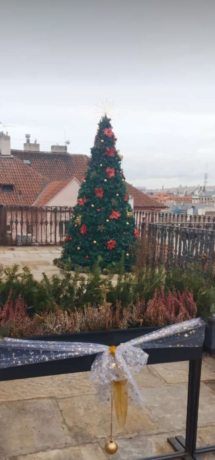 Christmas spirit
