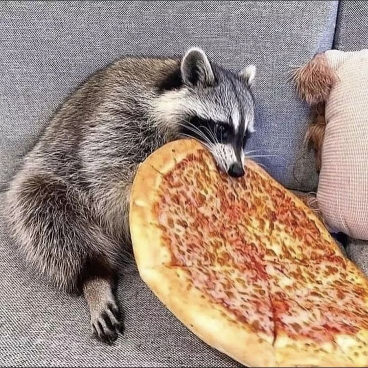 .