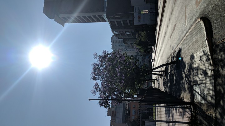 moorning sun