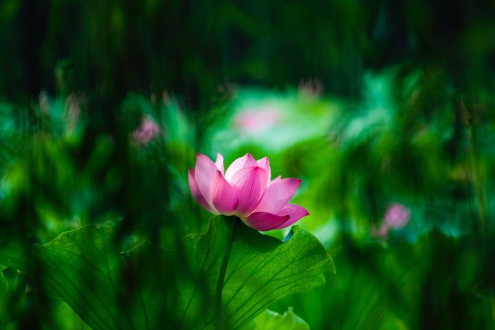 lovely picture.....