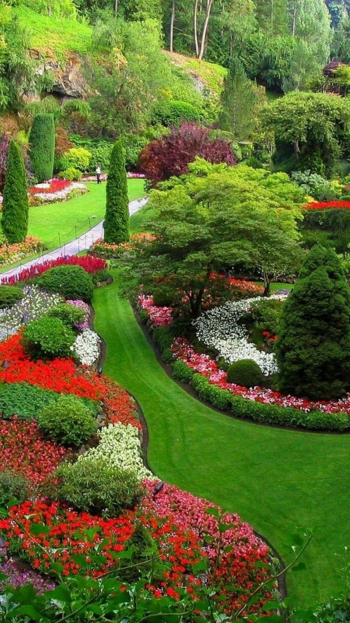 Perfectly Manicured Lawn