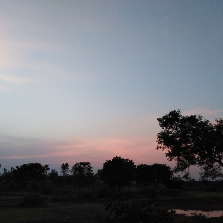 nature