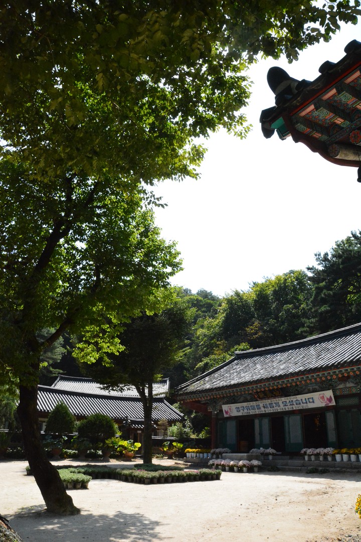 풍경이미지