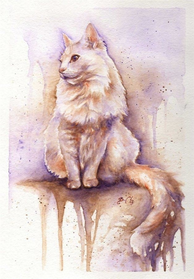 Aquarelle