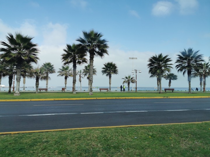 Playa brava, Iquique