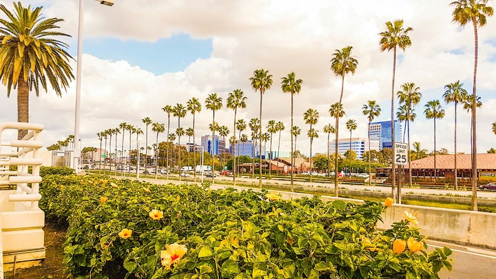 California