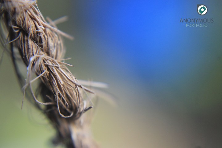 Knots...