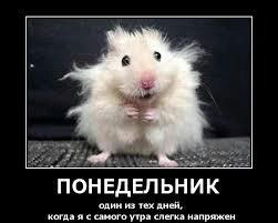 Хуже ПОНЕДЕЛЬНИКА дня  просто нет