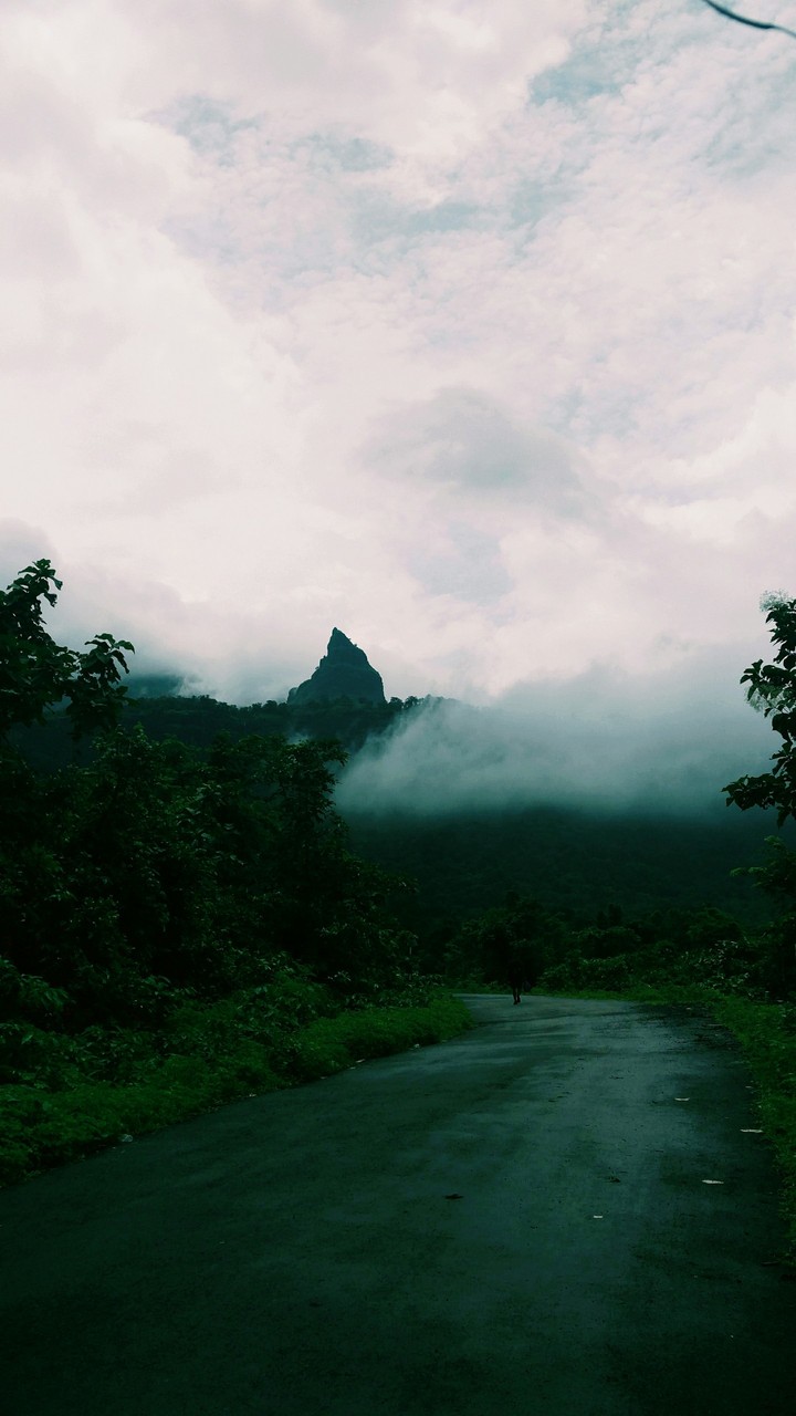 nature