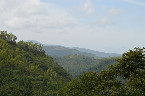 hills