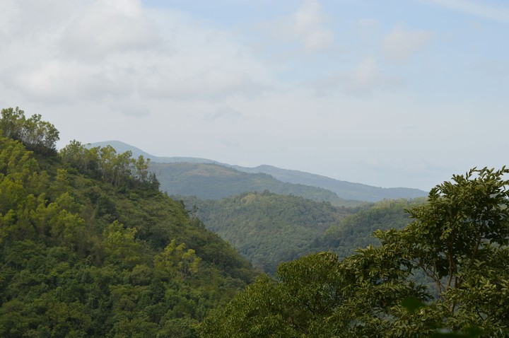 hills