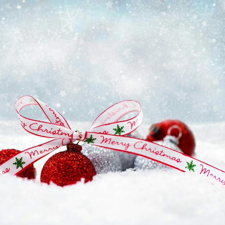 Merry Christmas