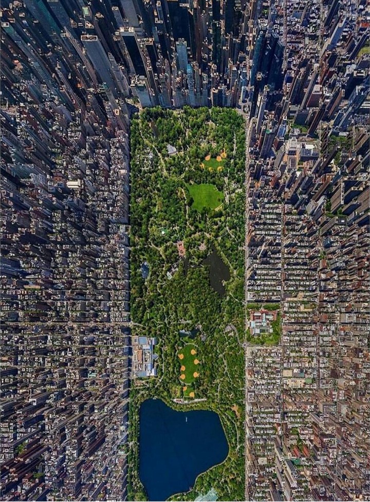 central park NYC