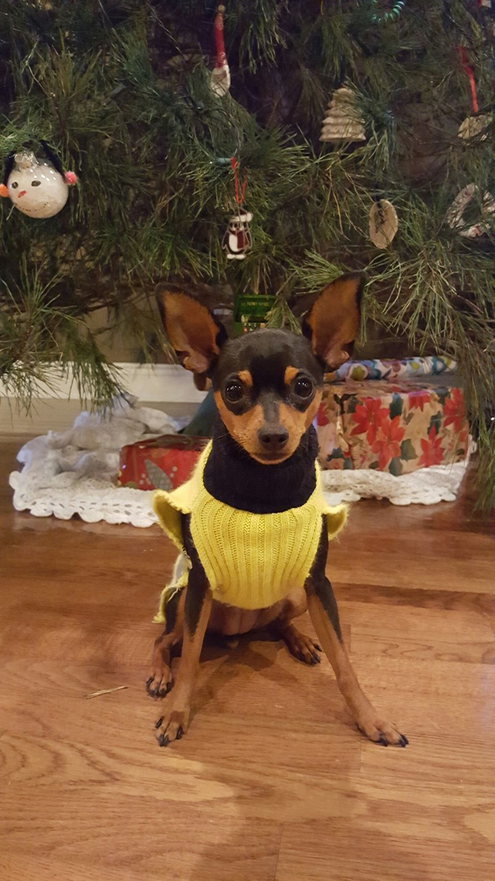 Lucy