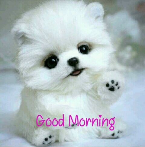 so cuty