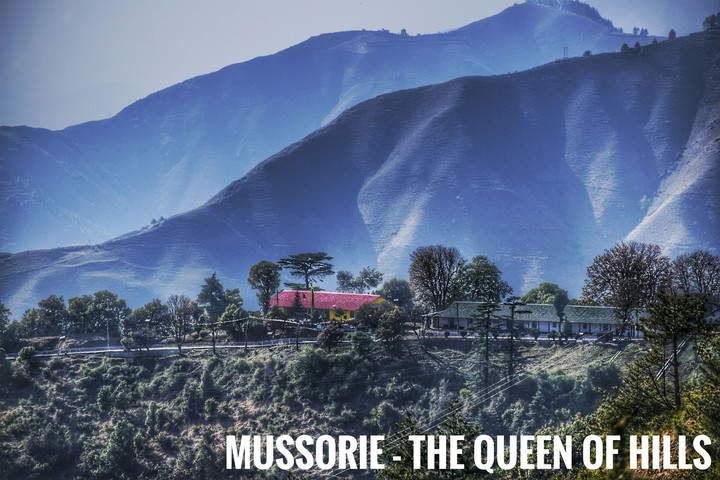queen of hills