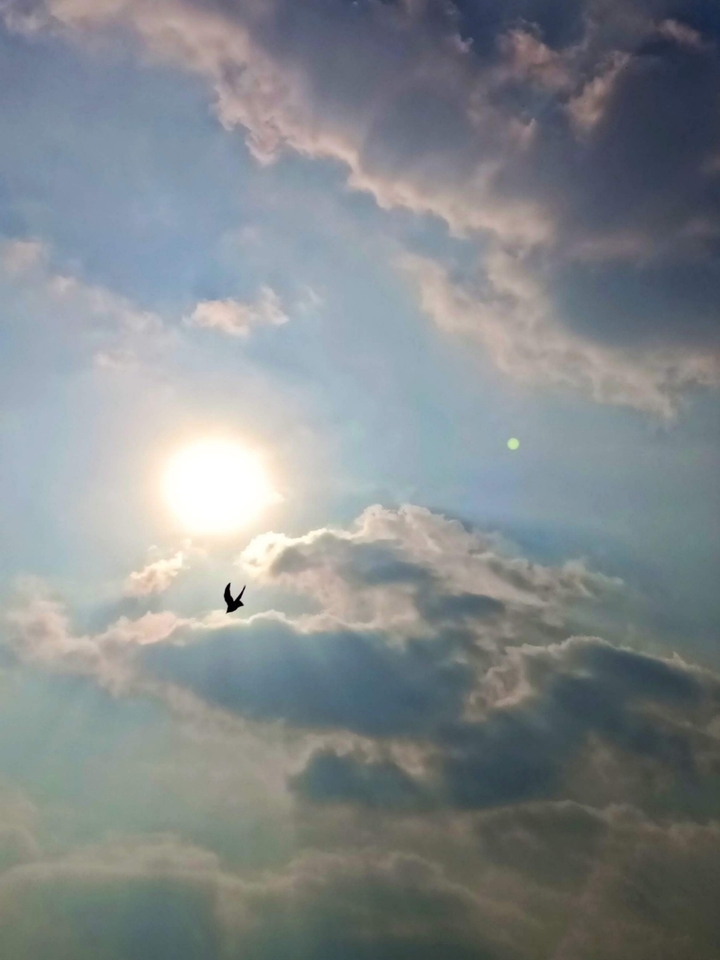 shining and flying