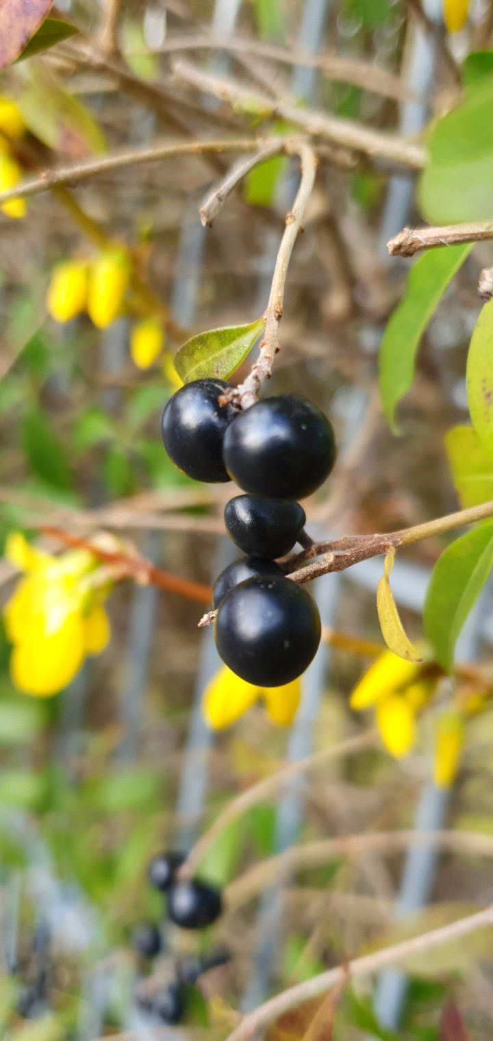 Frühling