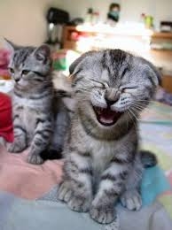 sourire