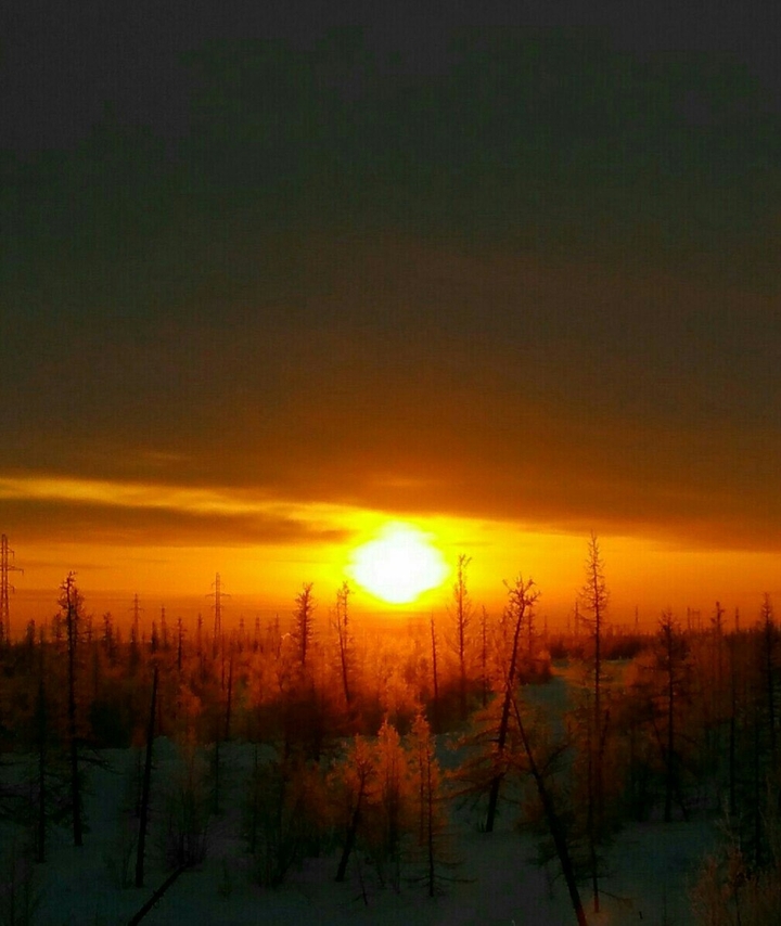 Nature