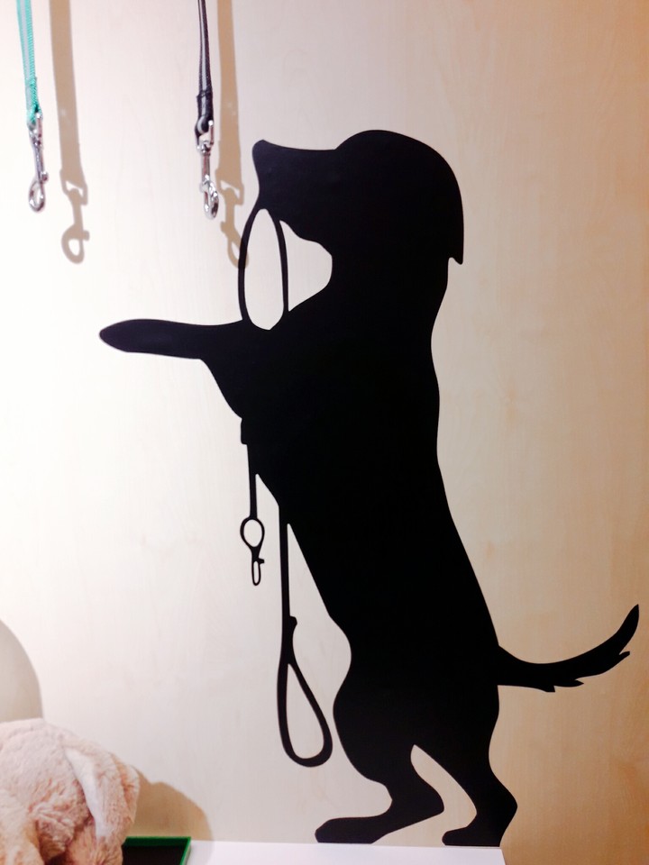 dog