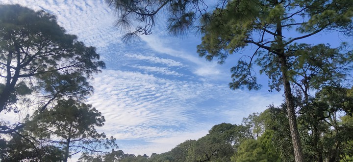 nature