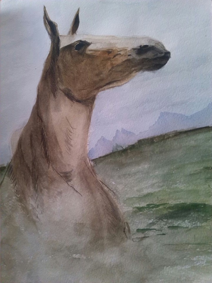 the horse