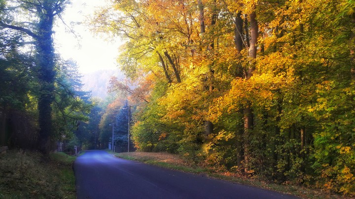 Fall