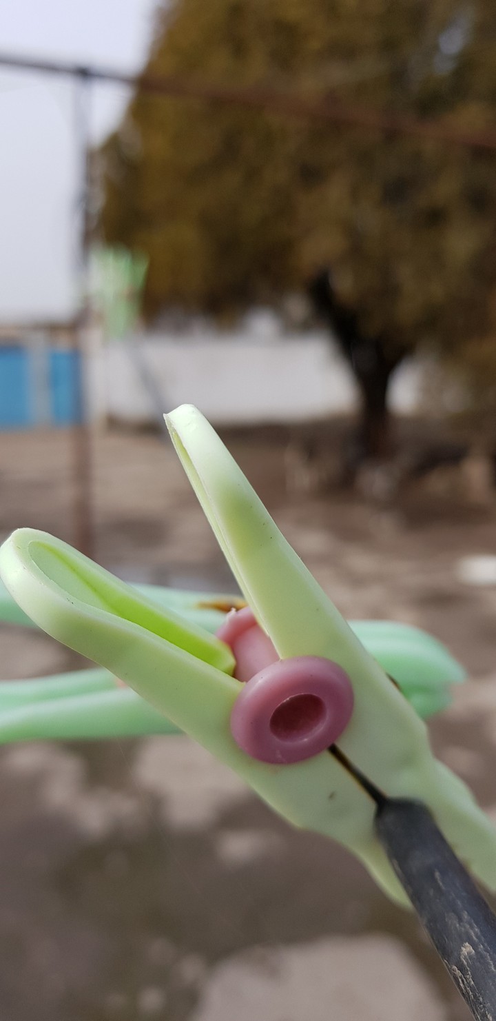macro