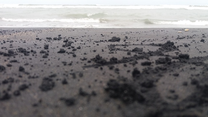 stay