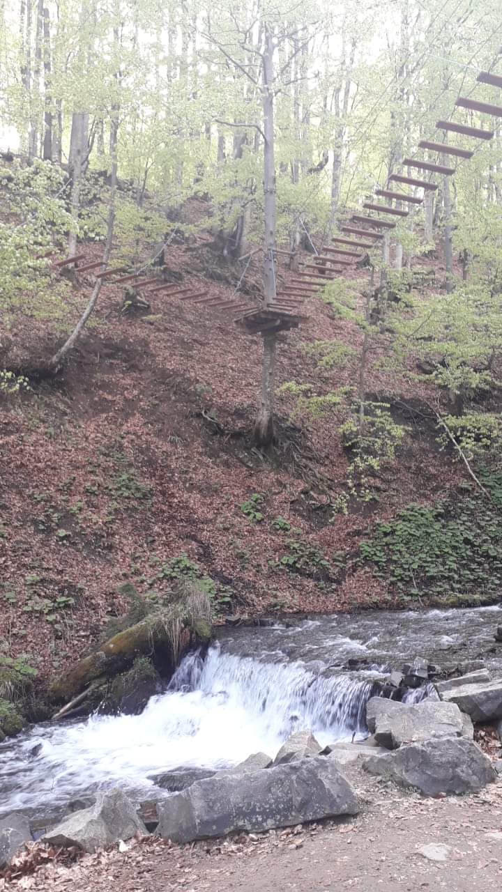 Transcarpathia
