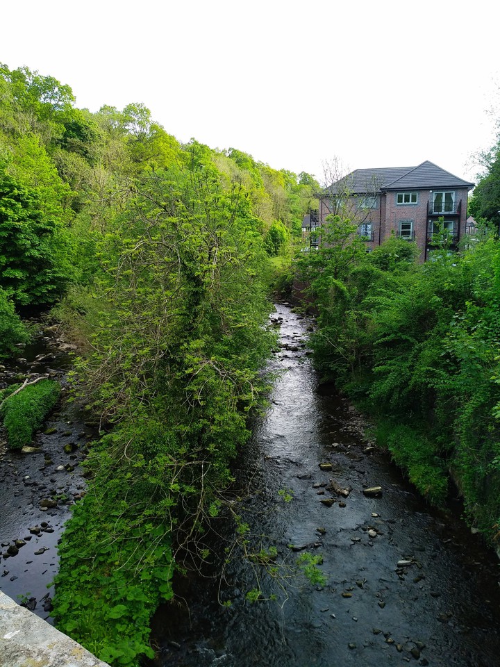 Water of Leith