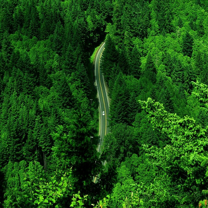 nature